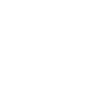 ALM First